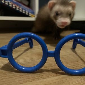 Meet your Posher, Kadee